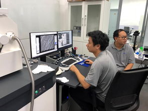 公共技術(shù)服務(wù)中心開(kāi)展蔡司掃描電鏡培訓(xùn)，提升技術(shù)服務(wù)水平